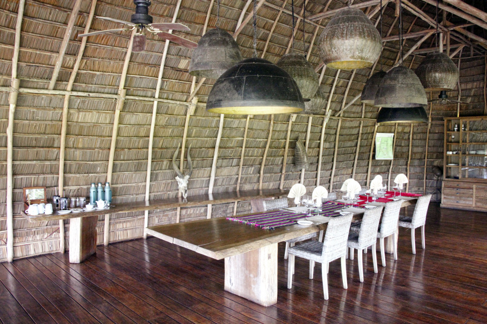 Lango Camp: Odzala-Kokoua-Nationalpark